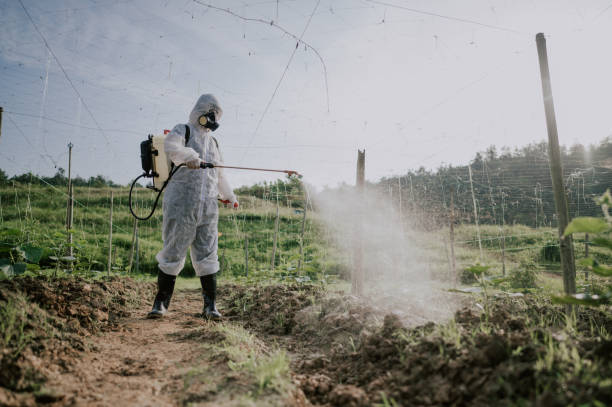 Best Best Pest Control Companies  in Williamston, SC