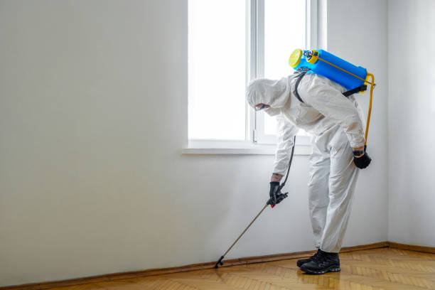 Best Emergency Pest Control  in Williamston, SC