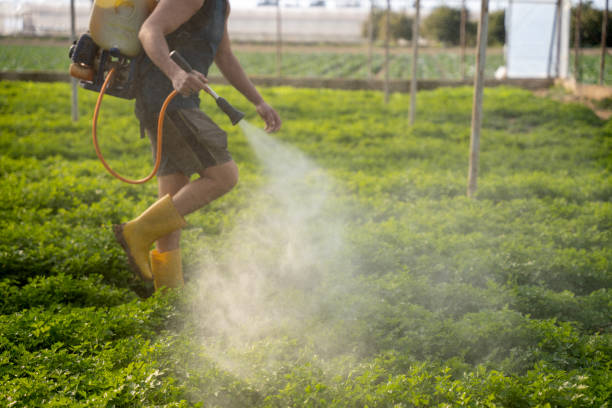 Best Affordable Pest Control Services  in Williamston, SC