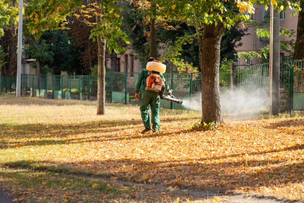 Best Residential Pest Control  in Williamston, SC
